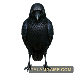 Black Bird