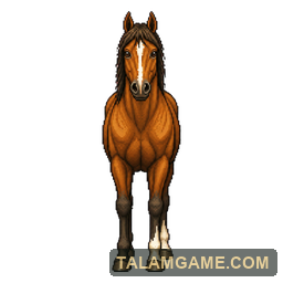 Brown Horse
