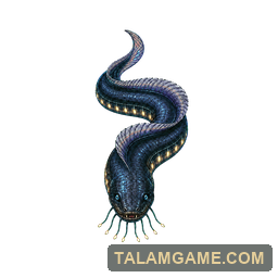 Lanternbelly Eel