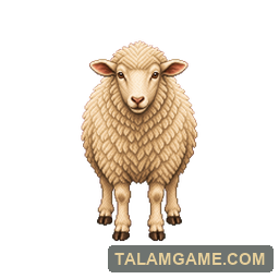 Sheep