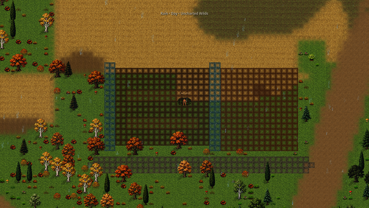 Golden Rows Alpha capture